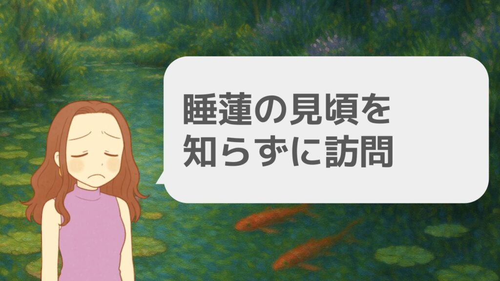 睡蓮の見頃を知らずに訪問