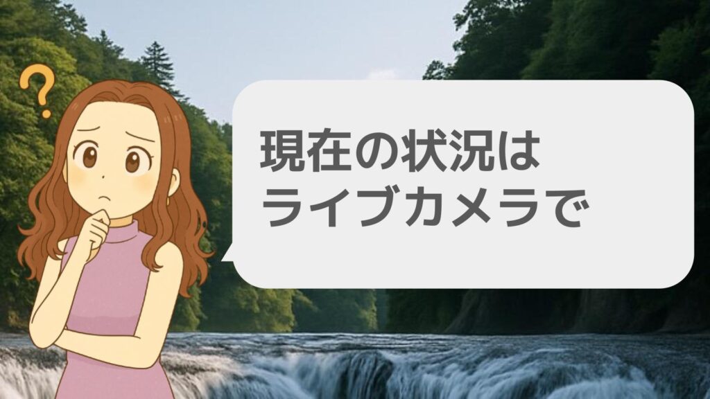 現在の状況はライブカメラで