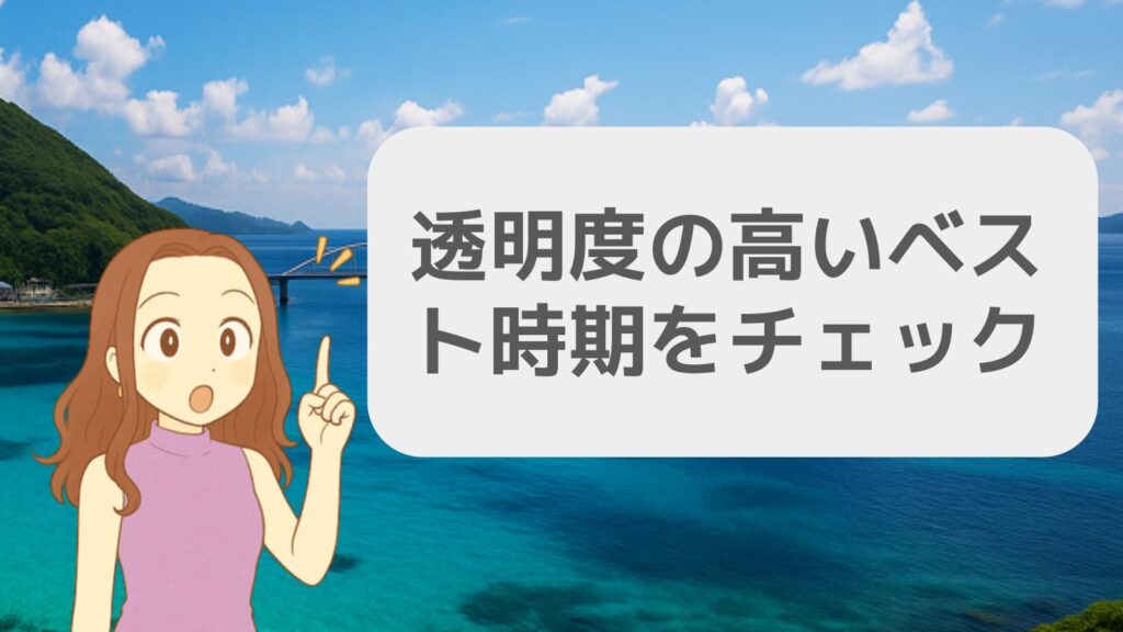 透明度の高いベスト時期をチェック