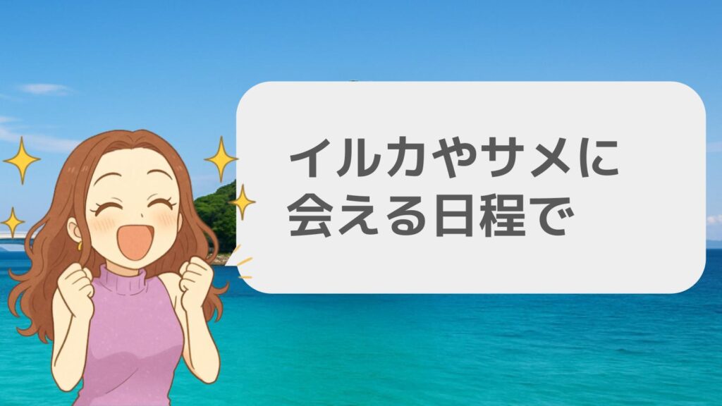 観光するならイルカやサメに会える日程で