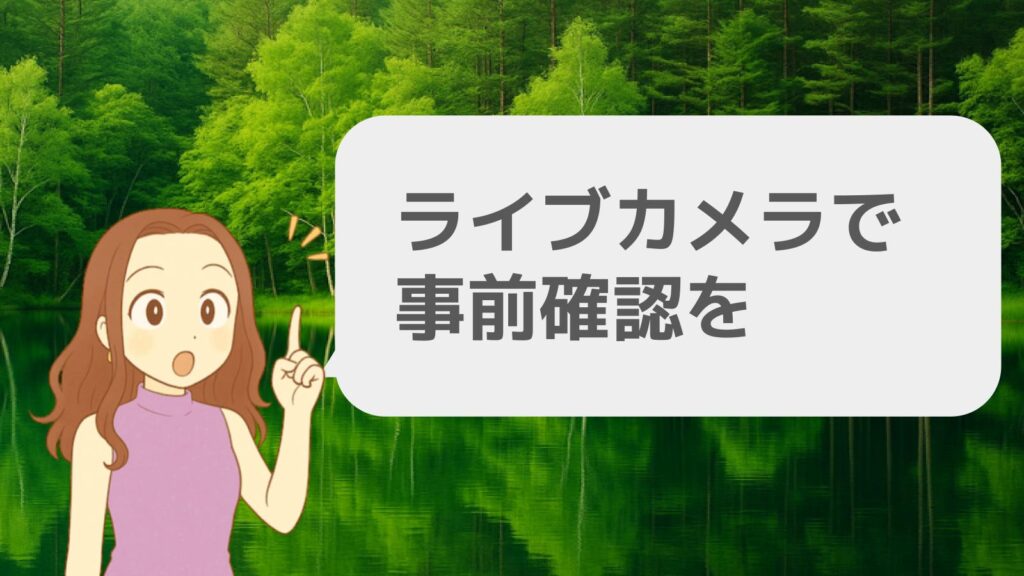 ライブカメラで事前確認を