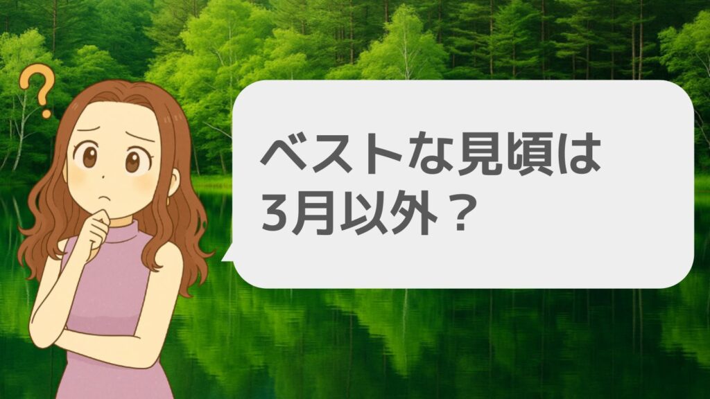 ベストな見頃は3月以外?