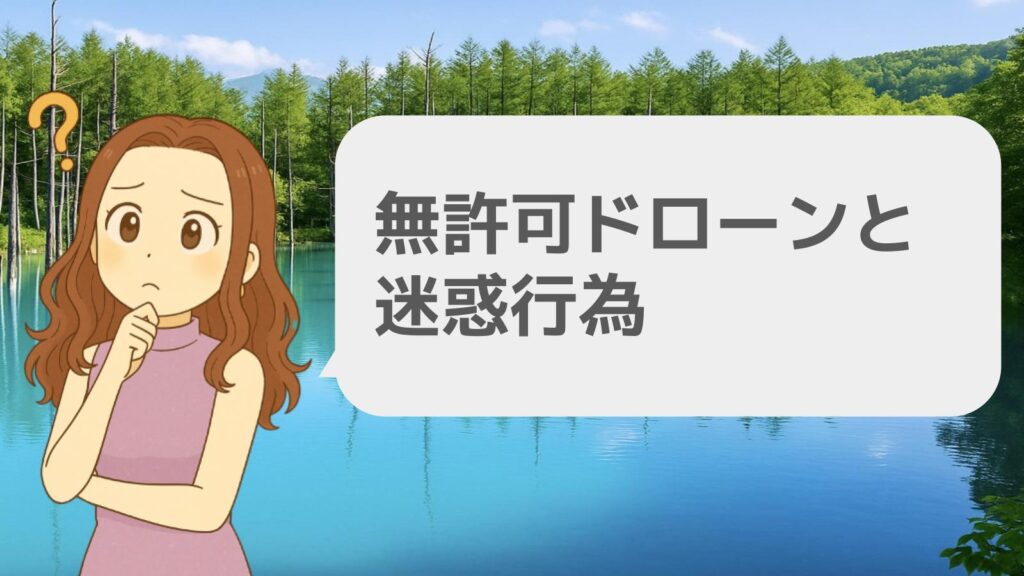 無許可ドローンと迷惑行為