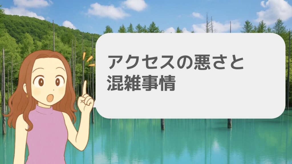 アクセスの悪さと混雑事情