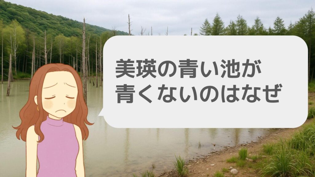 美瑛の青い池が青くないのはなぜ