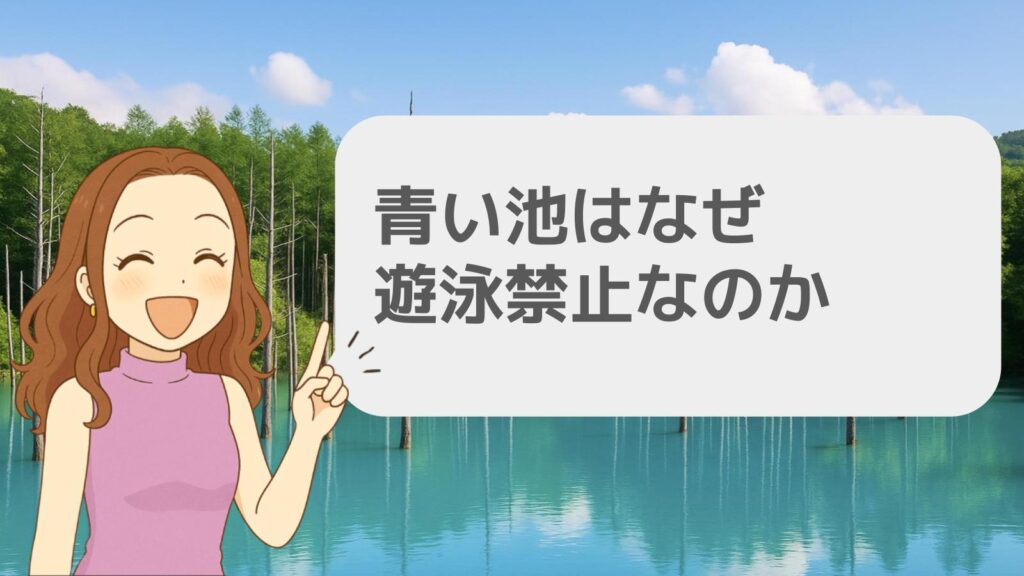 青い池はなぜ遊泳禁止なのか
