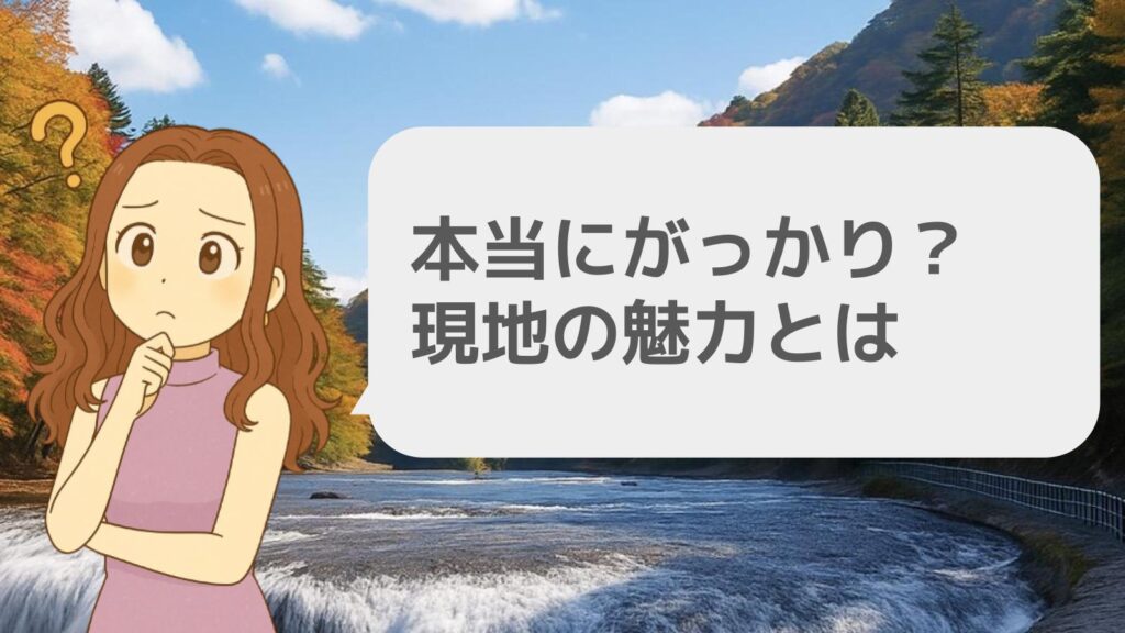 本当にがっかり?現地の魅力とは