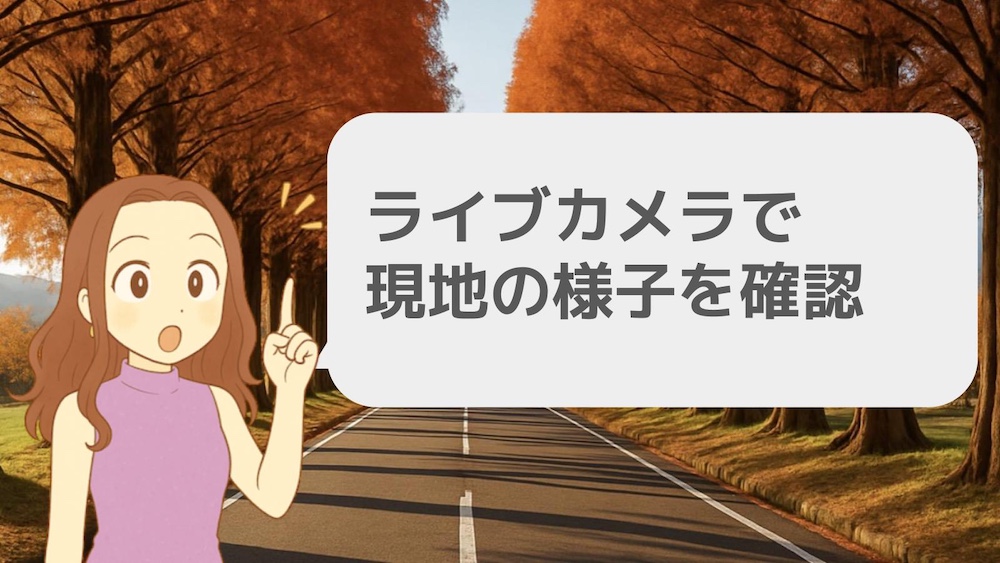 ライブカメラで現地の様子を確認