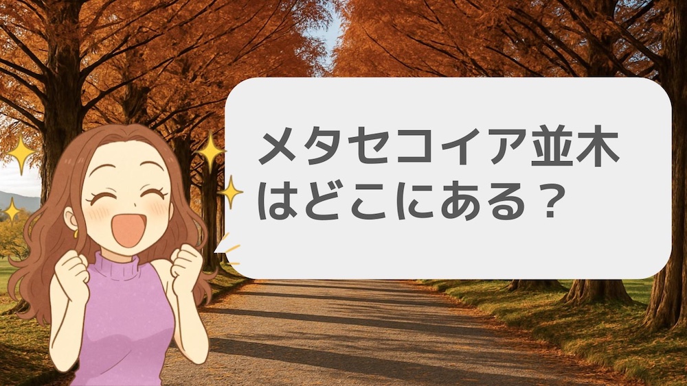 メタセコイア並木はどこにある?