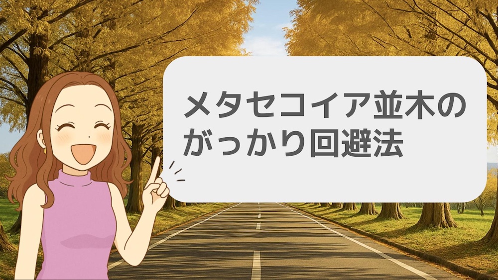 メタセコイア並木のがっかり回避法