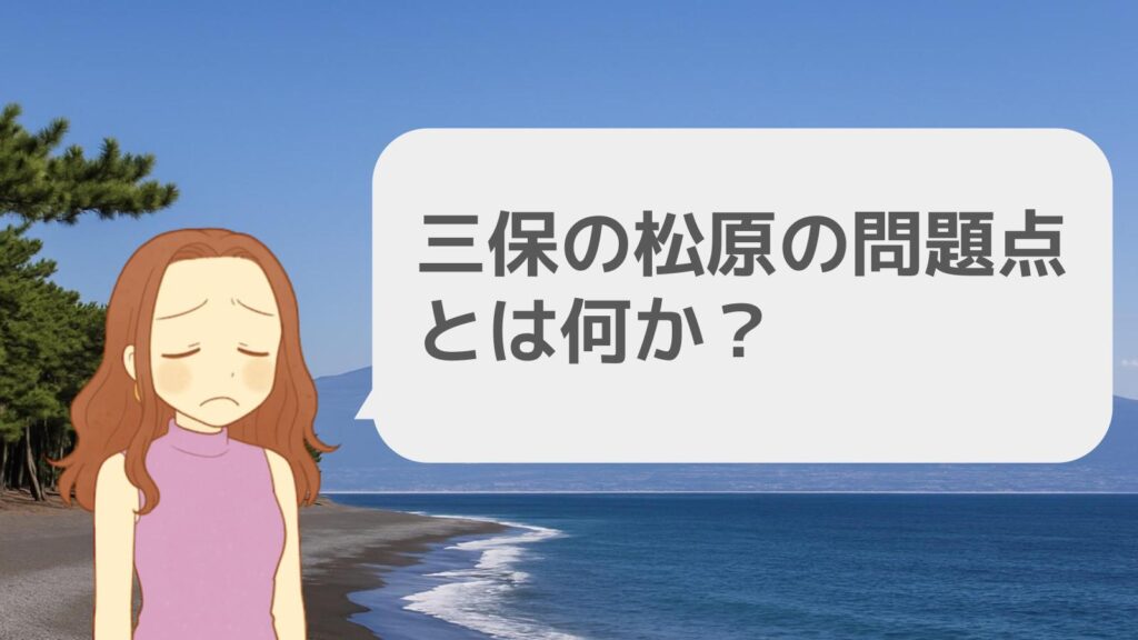 三保の松原の問題点とは何か?