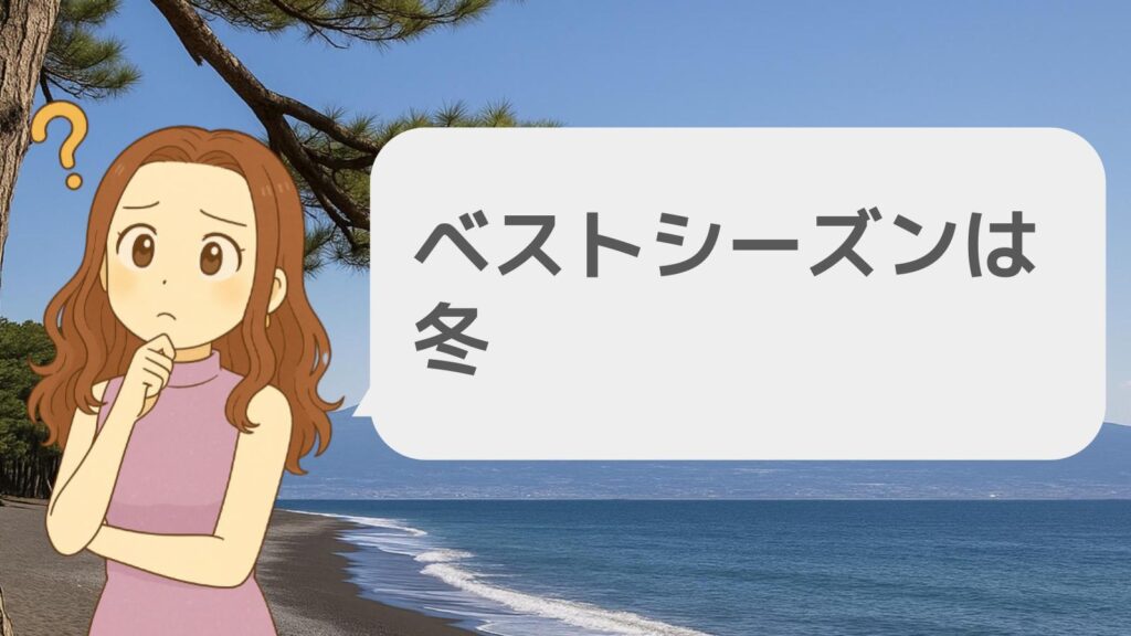 三保の松原のベストシーズンは冬