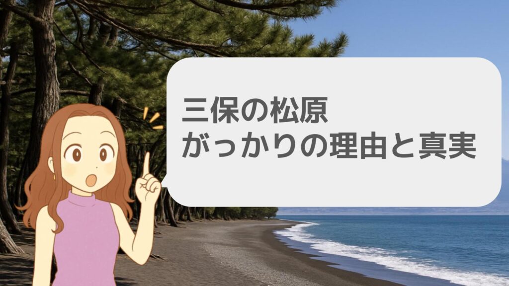 三保の松原 がっかりの理由と真実