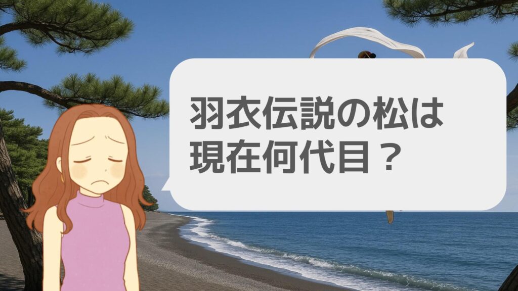 羽衣伝説の松は現在何代目?