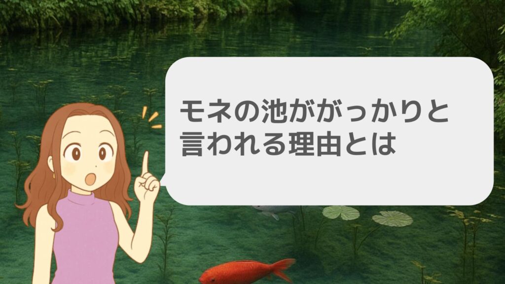 モネの池ががっかりと言われる理由とは