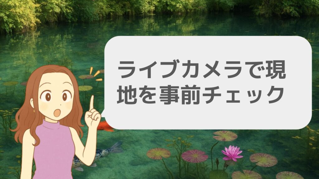 ライブカメラで現地を事前チェック