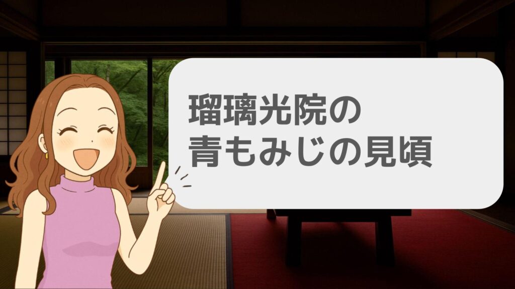 瑠璃光院の青もみじの見頃は?