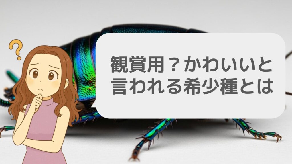観賞用？かわいいと言われる希少種とは
