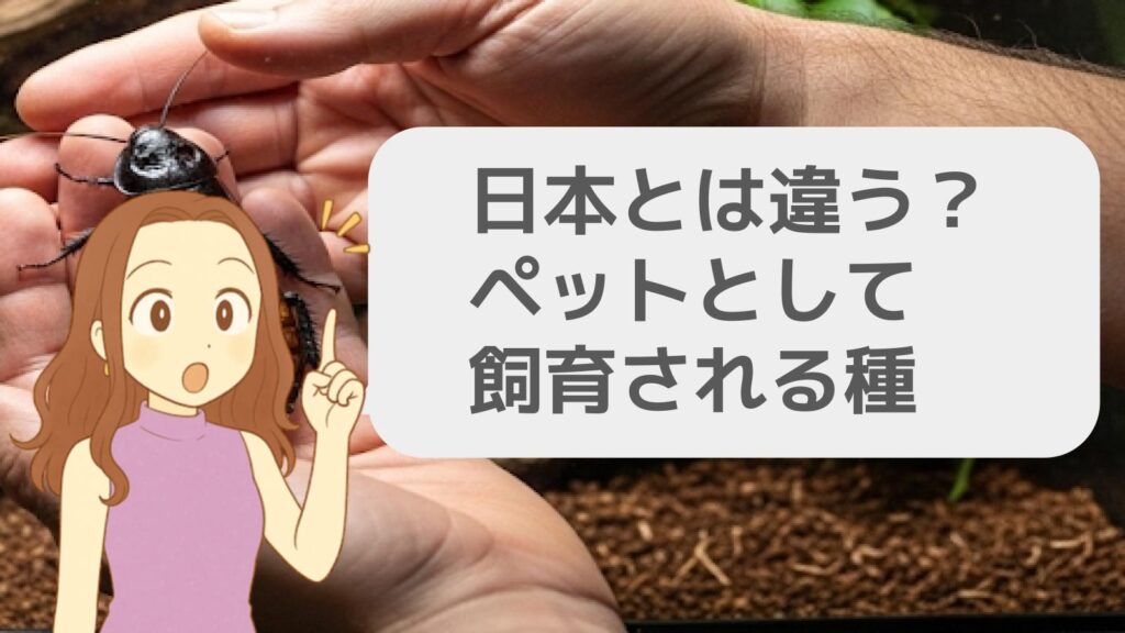 日本とは違う？ペットとして飼育される種