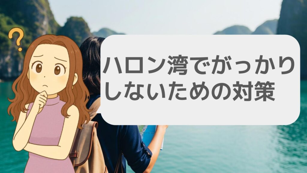 ハロン湾でがっかりしないための対策