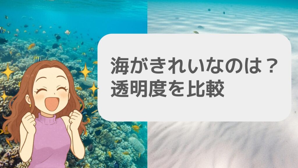 海がきれいなのはどっち?透明度を比較