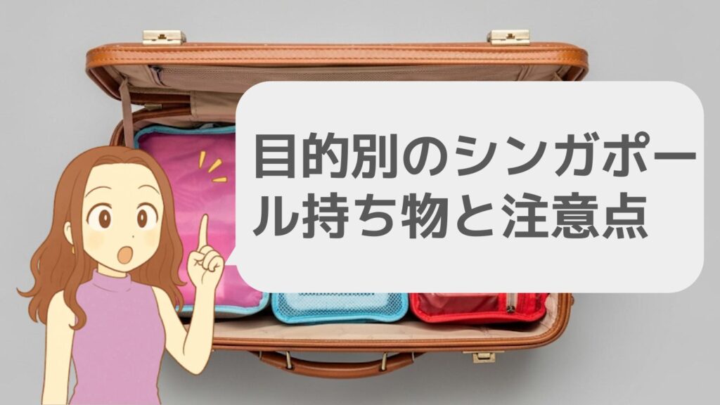 目的別のシンガポールへの持ち物と注意点