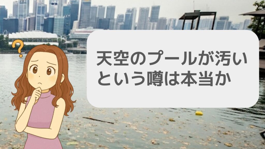 天空のプールが汚いという噂は本当?