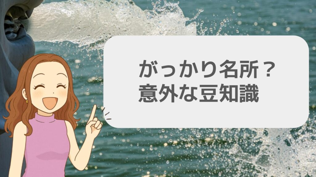 がっかり名所?意外な豆知識