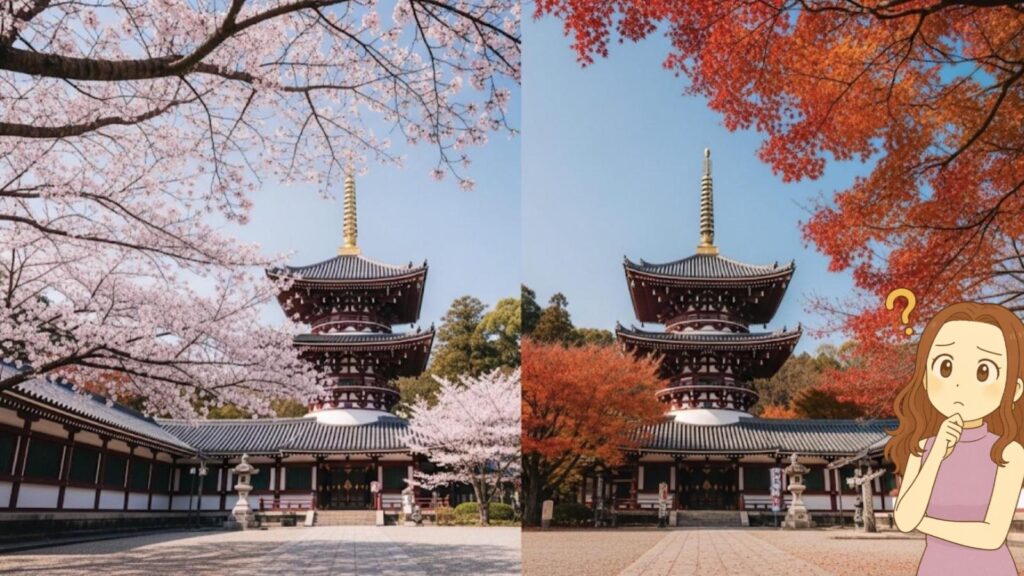 特別ご開帳でその姿を拝観できる