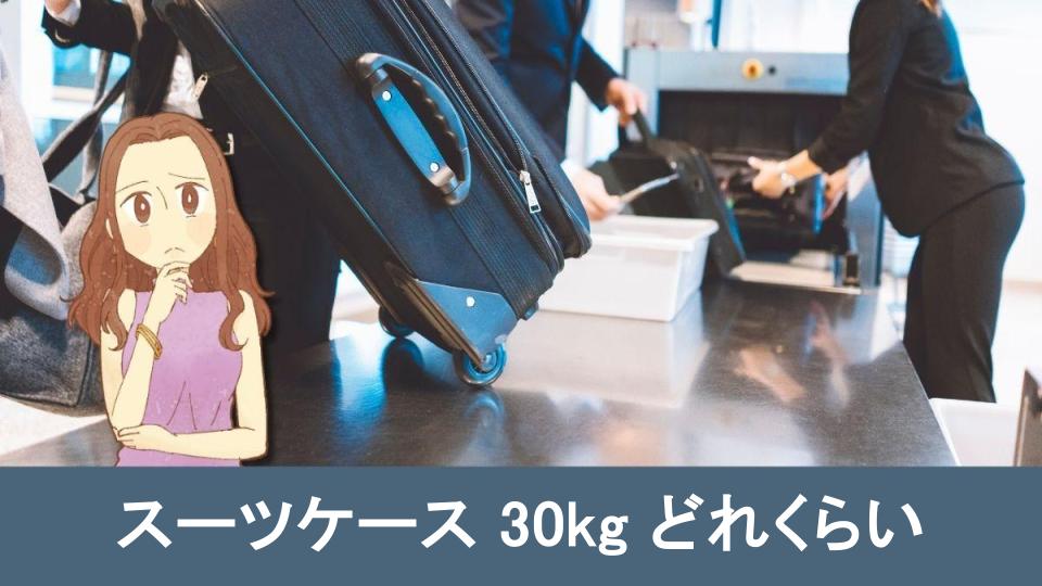 スーツ ケース 販売 30kg 目安