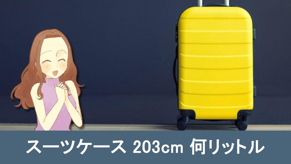 スーツ ケース セール 203cm 以内