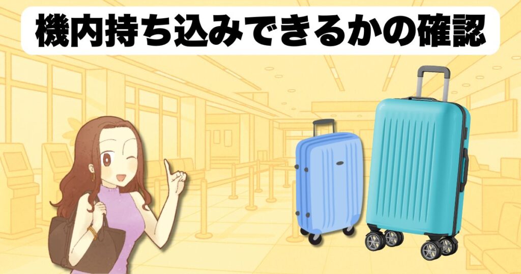 機内持ち込みできるかの確認